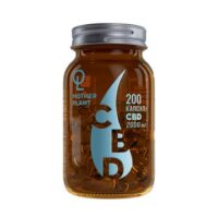 Купить MotherPlant Масло CBD капсулы 200 шт.