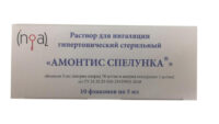 Купить Амонтис Спелунка Раствор для ингаляции гипертонический стерильный 5 мл 10 шт 6