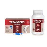 Купить Терафлекс Адванс Капсулы 120 шт